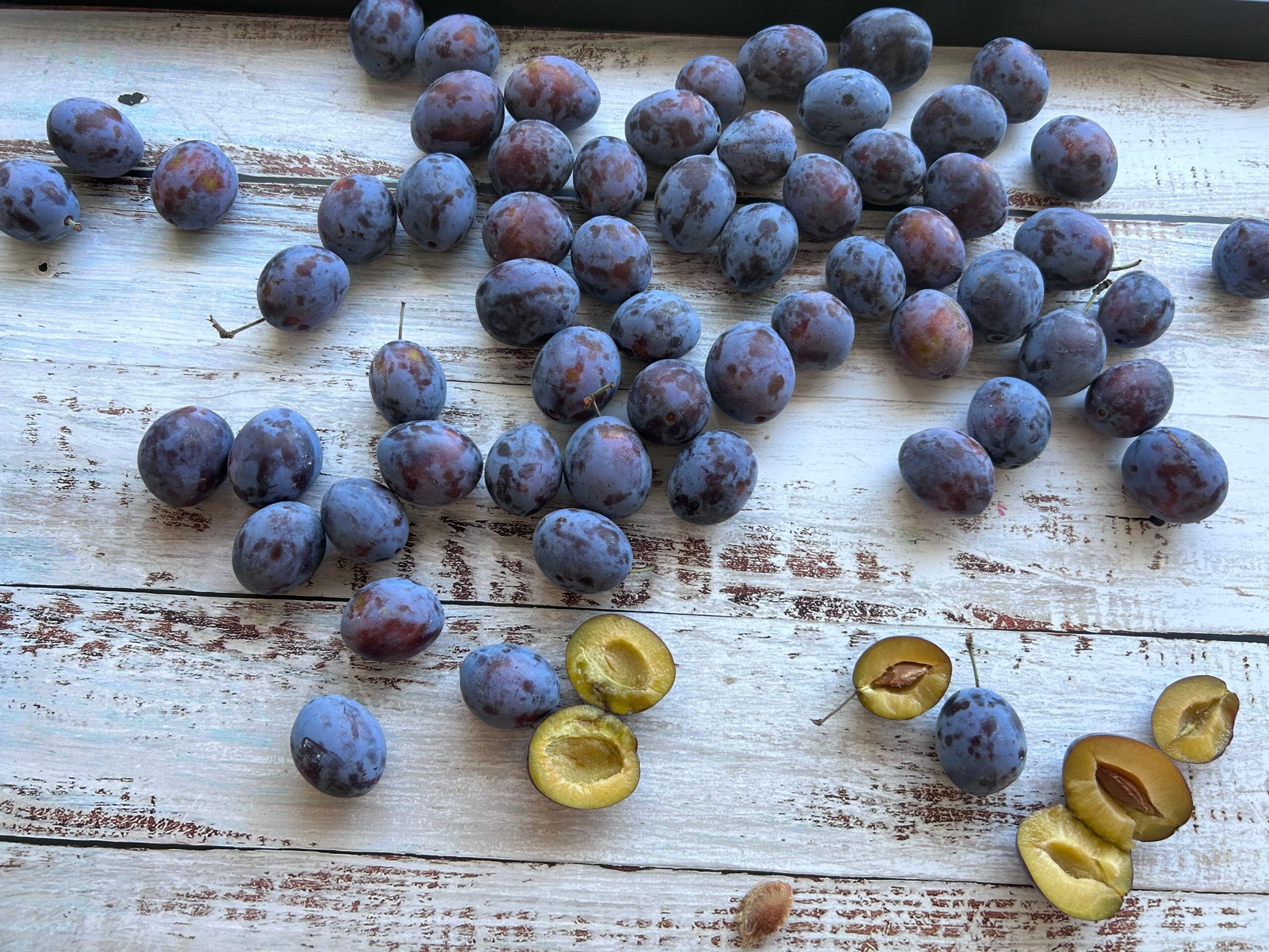 Reife blaue Zwetschgen und einige halbierte Früchte auf einem hellen Holztisch
