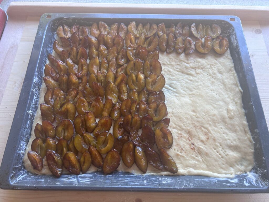 Backblech mit Hefeteig und dicht aufgelegten, eingeschnittenen Zwetschgen für einen Zwetschgendatschi