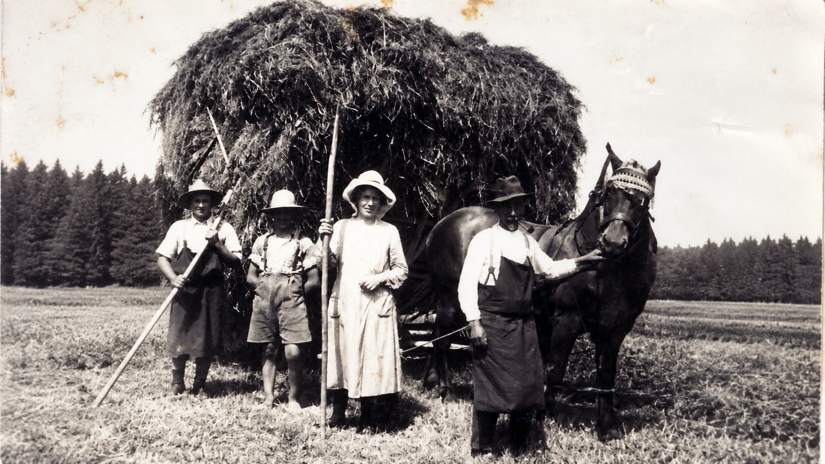 Historische Schwarz-Weiß-Aufnahme einer Familie bei der Ernte mit hoch beladenem Erntewagen und Pferd.
