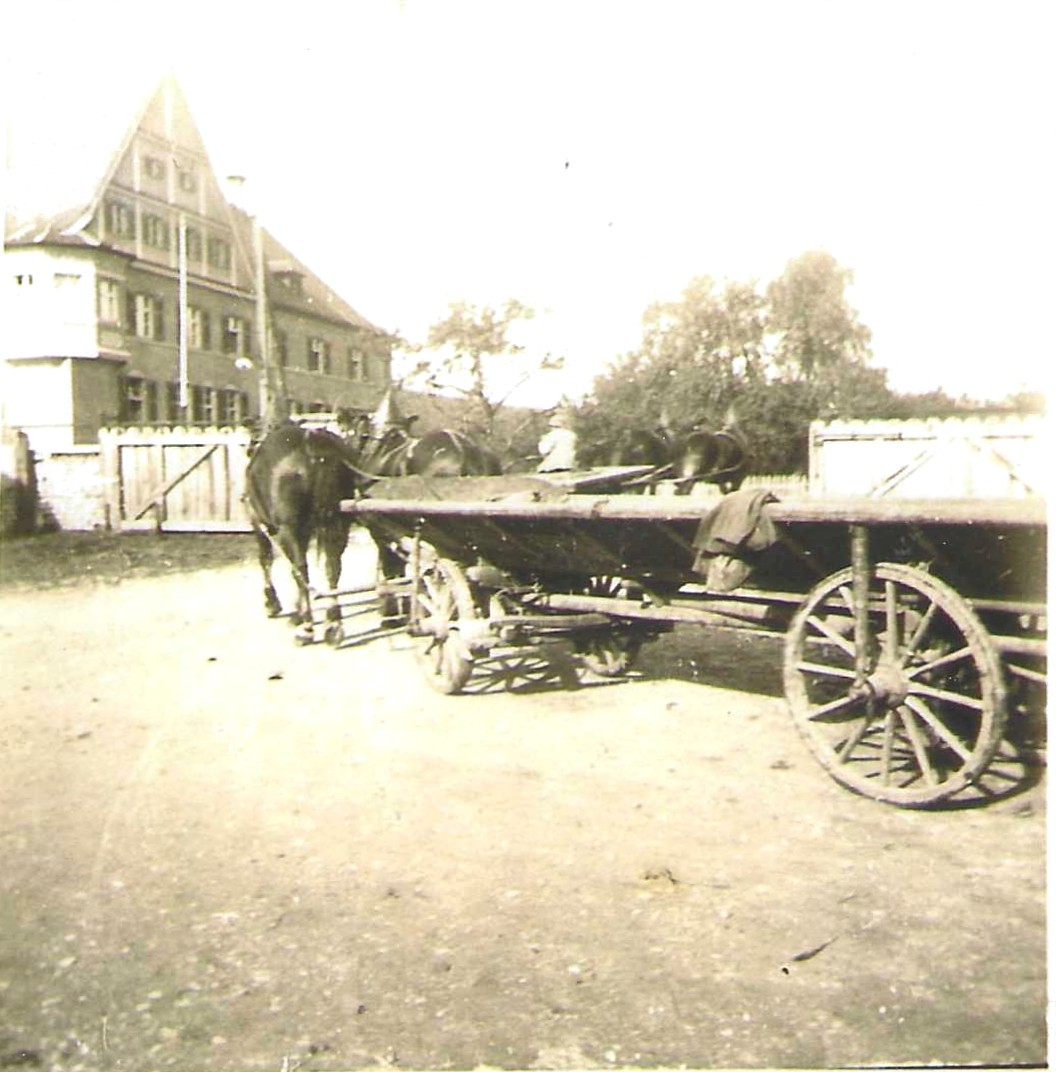 Historische Aufnahme eines Pferdefuhrwerks mit zwei Wagen vor dem Landratsamt in Mindelheim.
